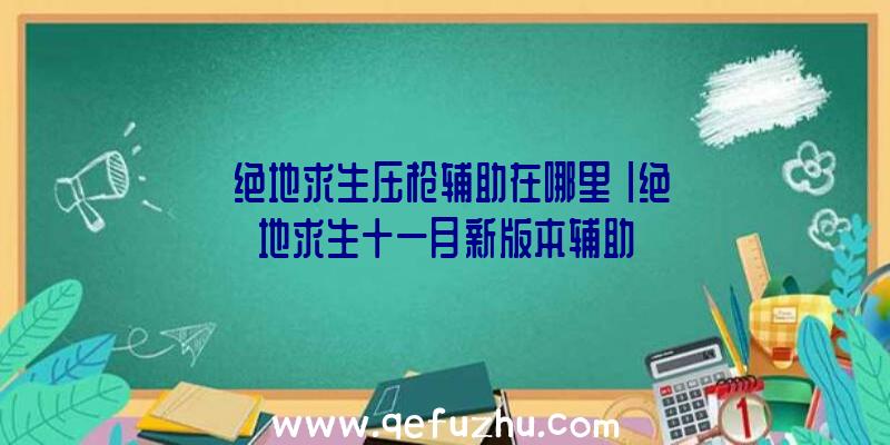 「绝地求生压枪辅助在哪里」|绝地求生十一月新版本辅助